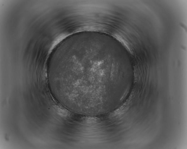 X0000091201070200708231525