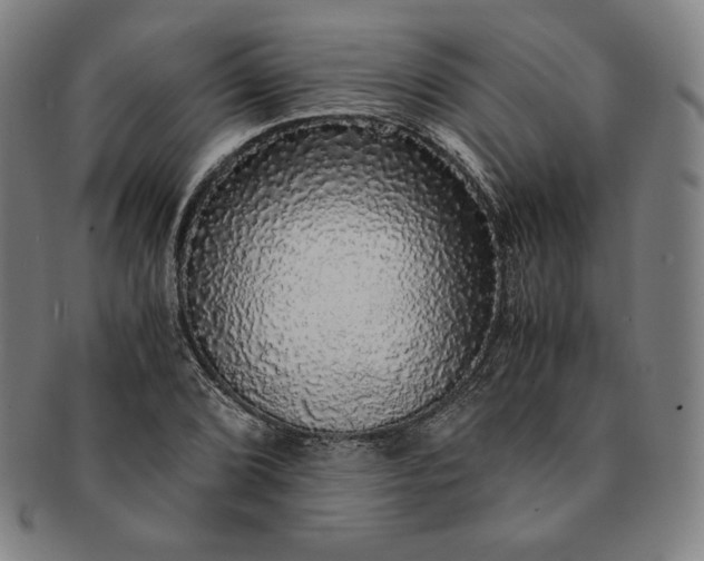 X0000091201072200708231525