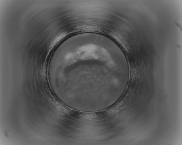 X0000091201074200708231525