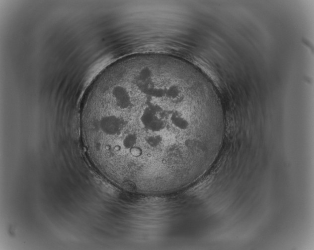 X0000091201075200708231525