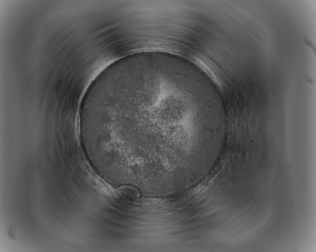 X0000091201076200708231525