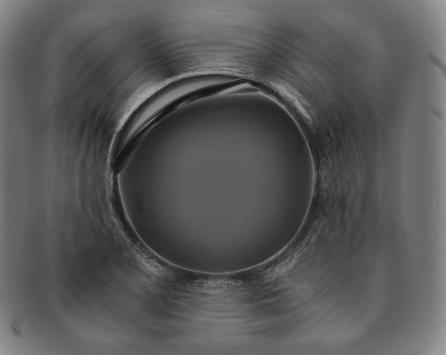 X0000091201077200708231525
