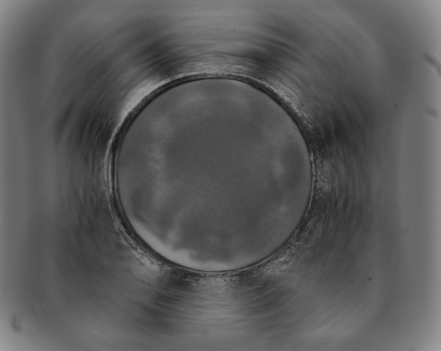 X0000091201078200708231525