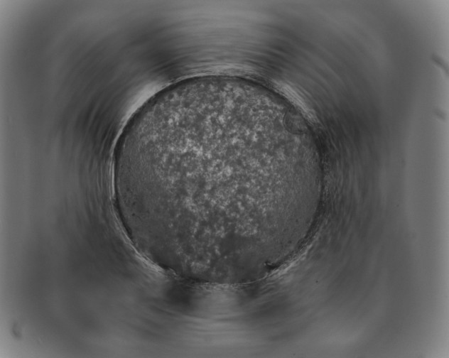 X0000091201079200708231525