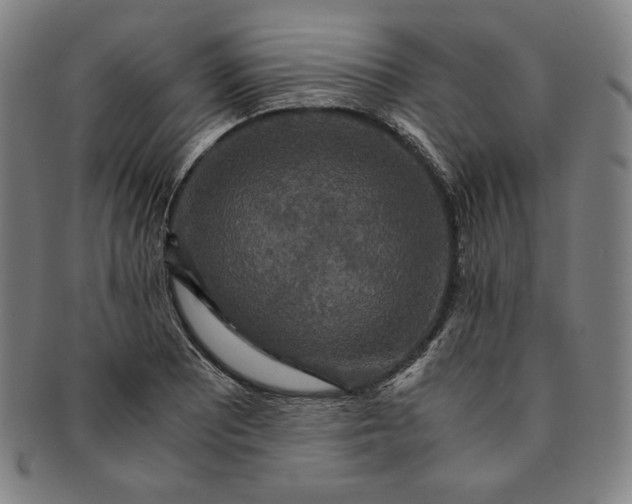 X0000091201081200708231525