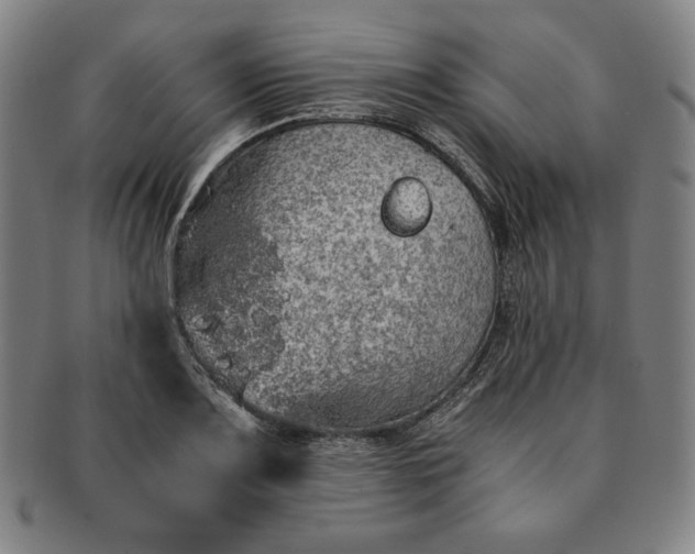 X0000091201083200708231525