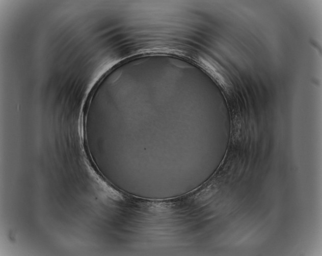 X0000091201084200708231525