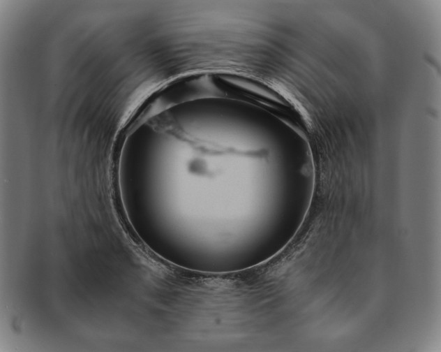 X0000091201085200708231525