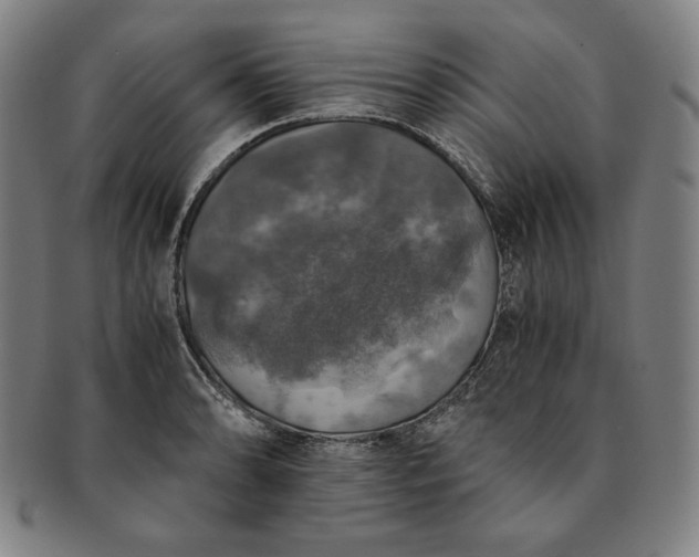 X0000091201086200708231525