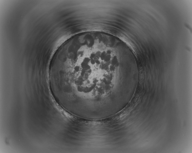 X0000091201088200708231525