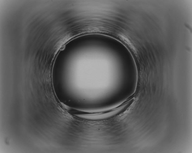 X0000091201089200708231525