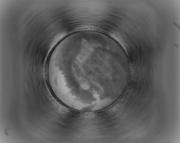 X0000091201090200708231525