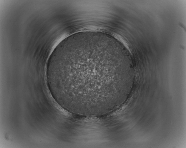 X0000091201091200708231525