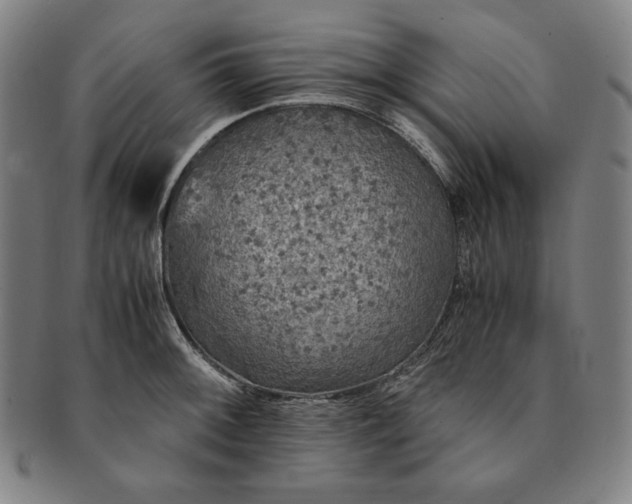 X0000091201092200708231525