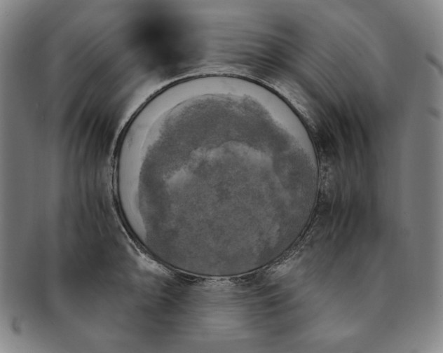 X0000091201094200708231525