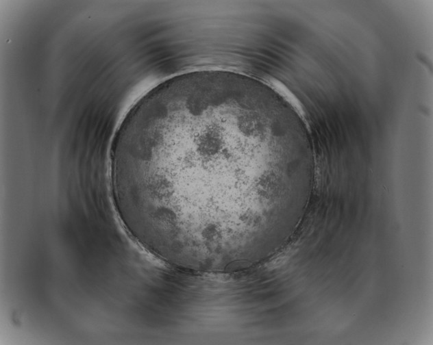 X0000091201096200708231525
