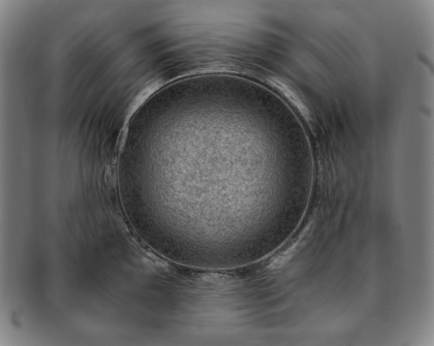 X0000091201097200708231525