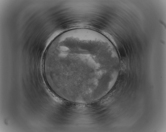 X0000091201098200708231525