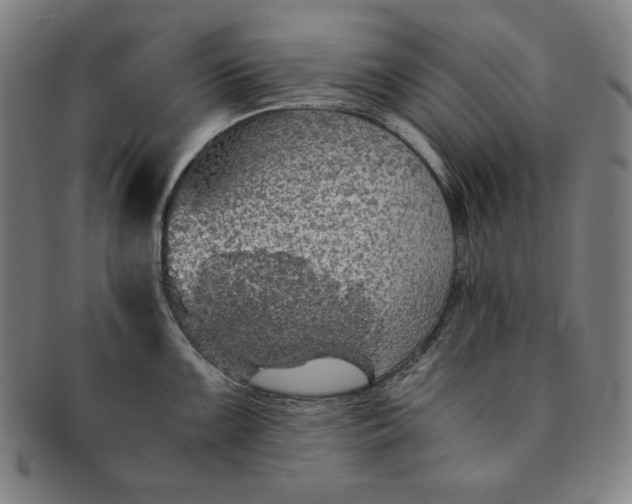 X0000091201099200708231525