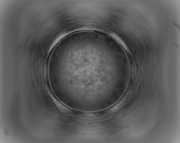 X0000091201101200708231525
