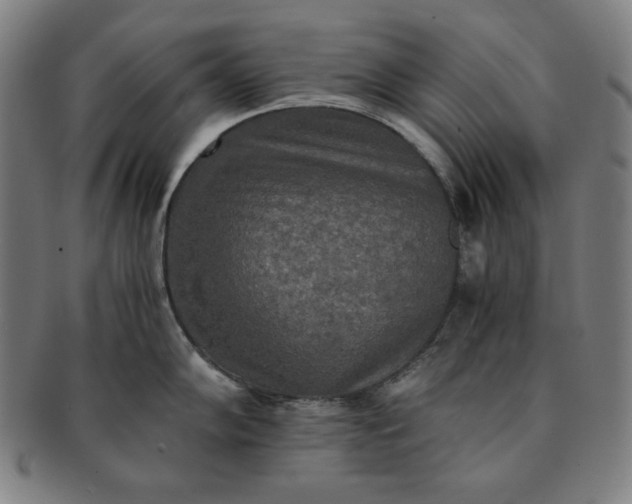 X0000091201102200708231525
