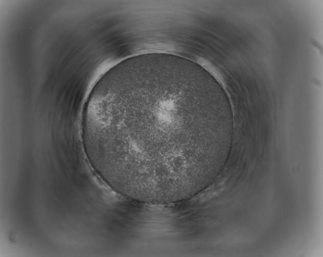 X0000091201104200708231525