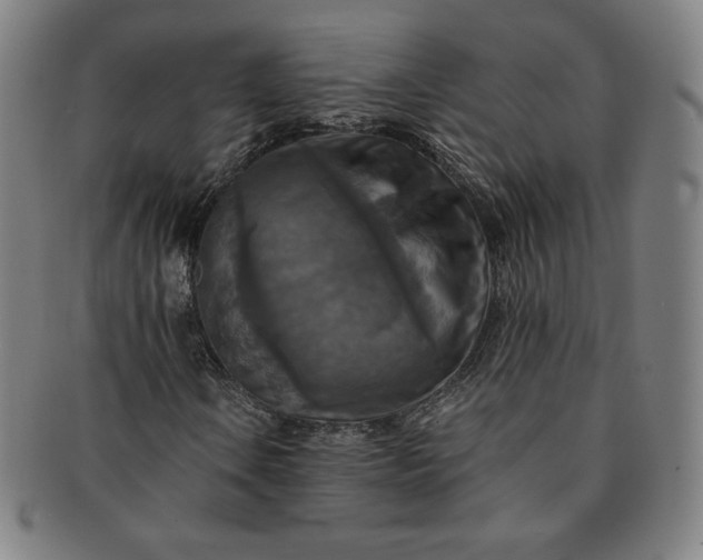 X0000091201106200708231524