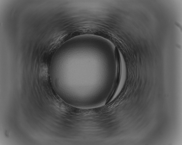 X0000091201108200708231524