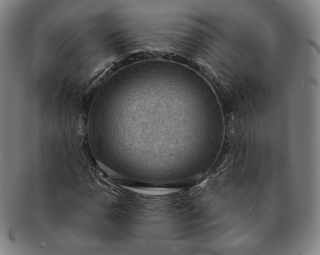 X0000091201110200708231524