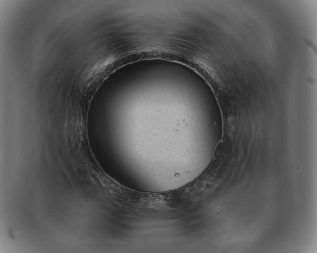 X0000091201111200708231524
