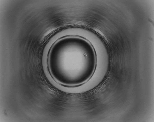 X0000091201112200708231524