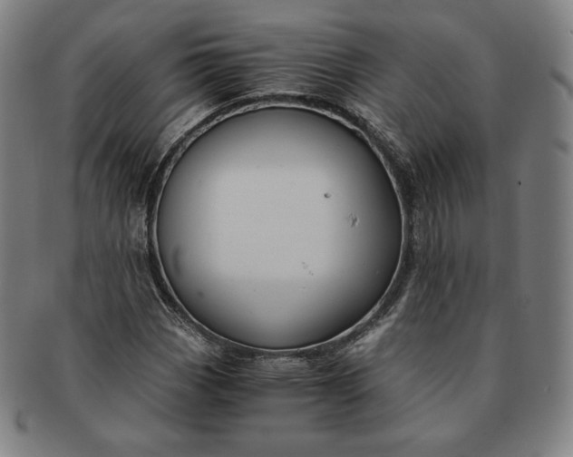 X0000091201113200708231524