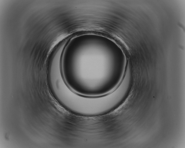 X0000091201114200708231524