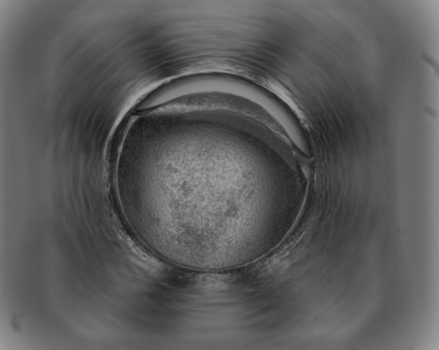 X0000091201116200708231524