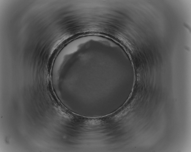 X0000091201117200708231524