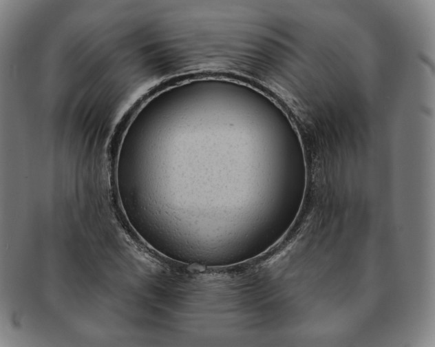 X0000091201118200708231524