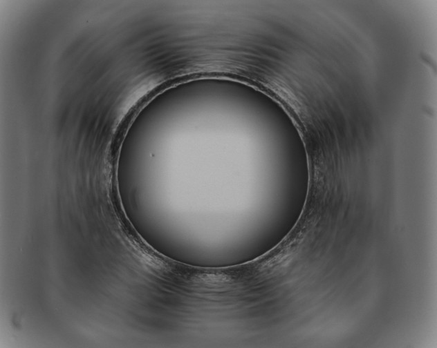 X0000091201119200708231524