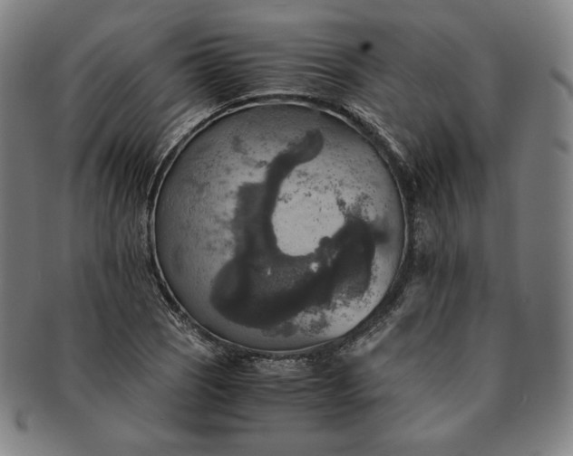 X0000091201121200708231524