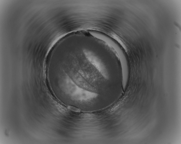 X0000091201124200708231524