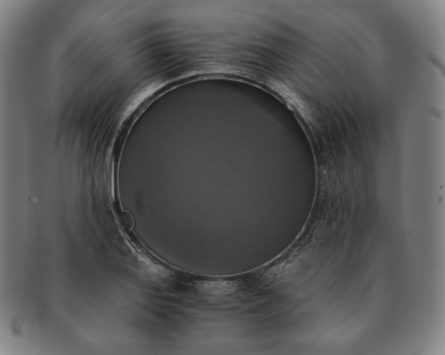 X0000091201127200708231524