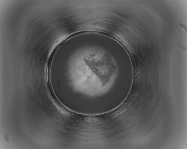 X0000091201128200708231524