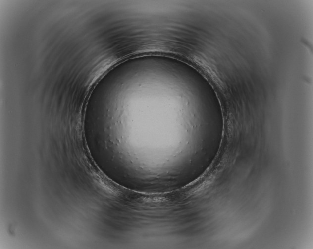 X0000091201129200708231524