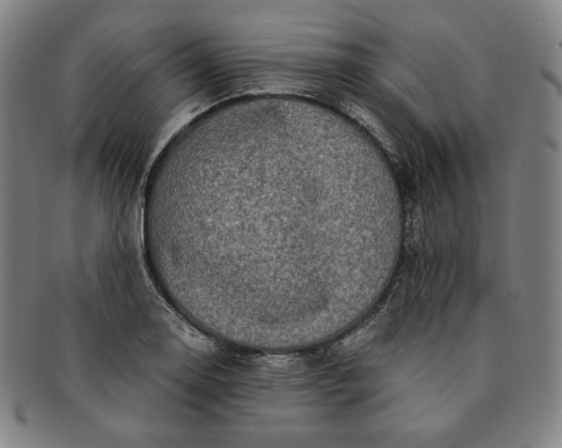 X0000091201130200708231524