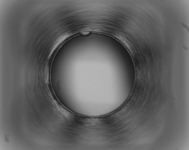 X0000091201131200708231524