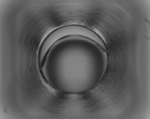 X0000091201132200708231524