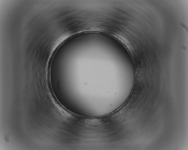 X0000091201135200708231524