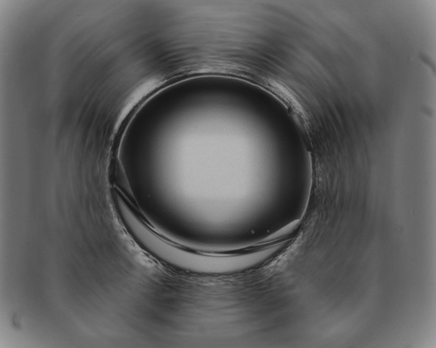 X0000091201138200708231525