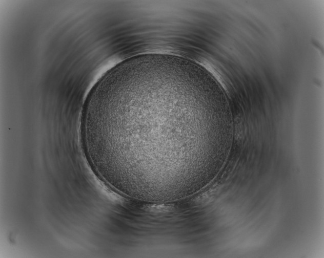X0000091201139200708231525