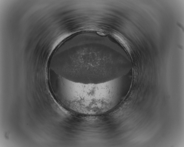 X0000091201141200708231525