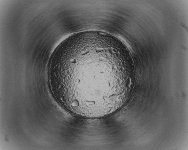 X0000091201142200708231525